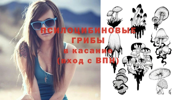 герыч Осинники