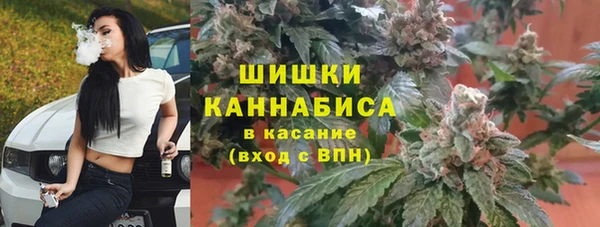 бошки Пересвет