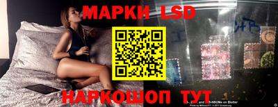 прущие грибы Кингисепп