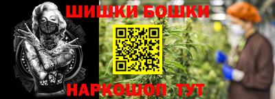 прущие грибы Кингисепп