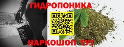 скорость Кимры