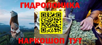 скорость Кимры