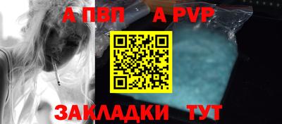 прущие грибы Кингисепп