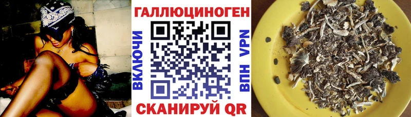 Галлюциногенные грибы ЛСД  Острогожск 