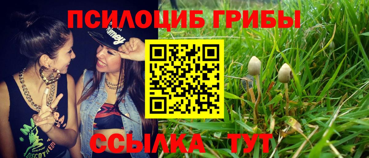 цена наркотик  Псилоцибиновые грибы ЛСД  Псилоцибиновые грибы Magic Shrooms  Вход с VPN  Острогожск 