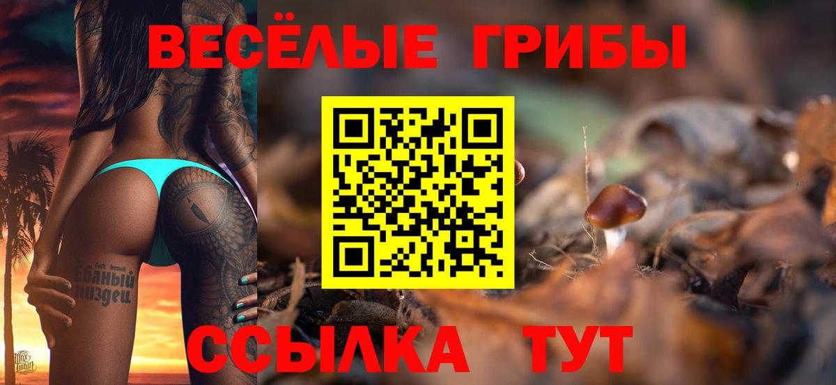 Псилоцибиновые грибы мицелий Острогожск